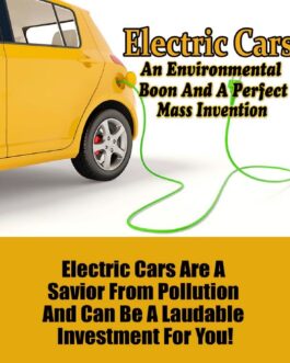 Electric Car Craze